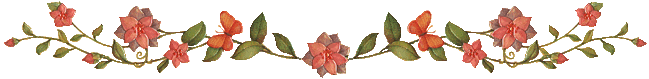 Orange flower bar